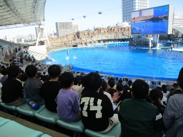 イルカショー　観客席背景