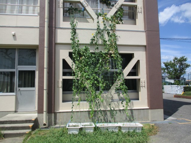 ひょうたんの全体の写真