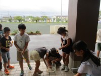 空気鉄砲で水を吸っている様子