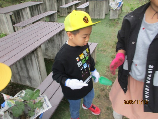 サツマイモ掘りの様子②