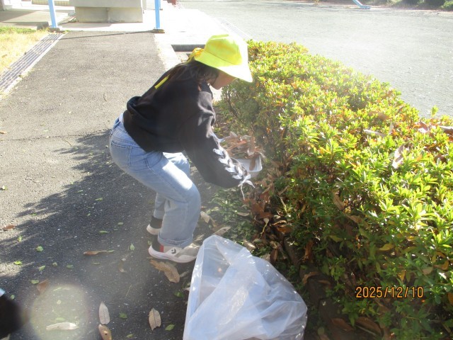 ビオトープの南側の清掃の様子②
