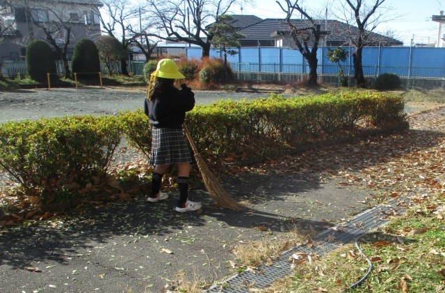 落ち葉を集めている様子