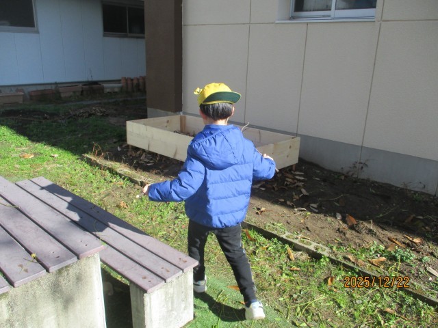 折れた木の枝を捨てに行く様子