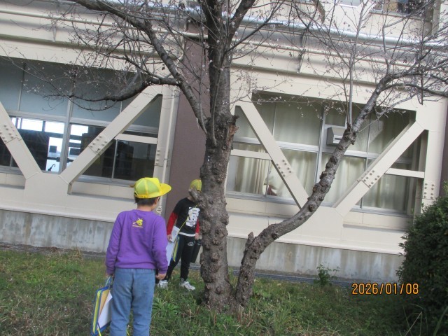 中庭での観察の様子