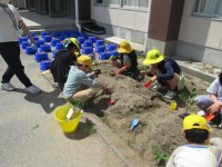 夏野菜を植えている様子①