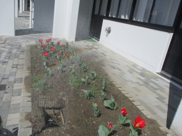 「花の水やりで、にじができたよ！」