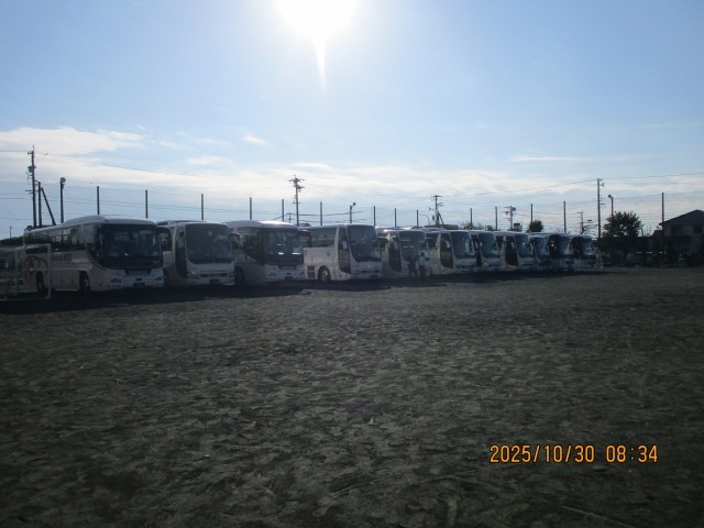 何台ものバスが校庭に並んでいます。